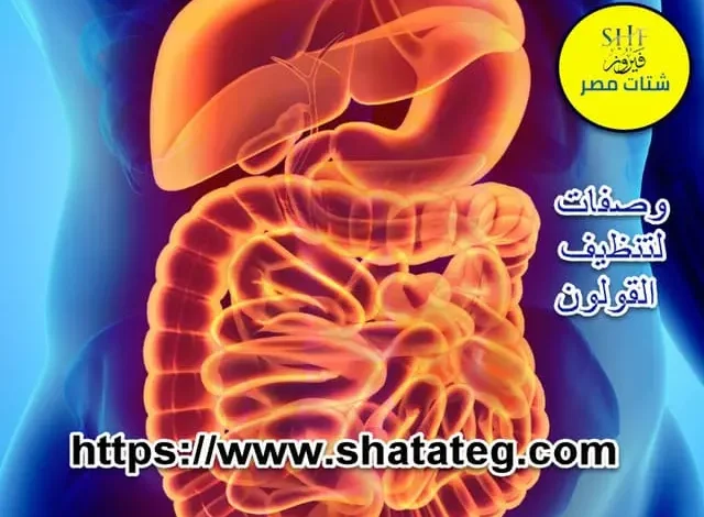 وصفات لتنظيف القولون