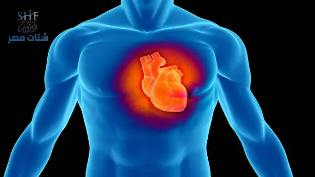 فوائد قشر الرمان