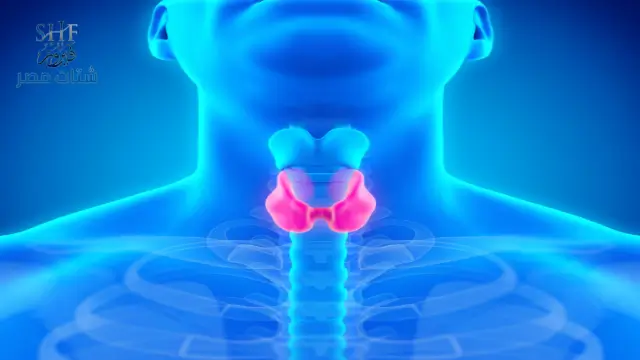 سبب ظهور الشيب في سن الثلاثين