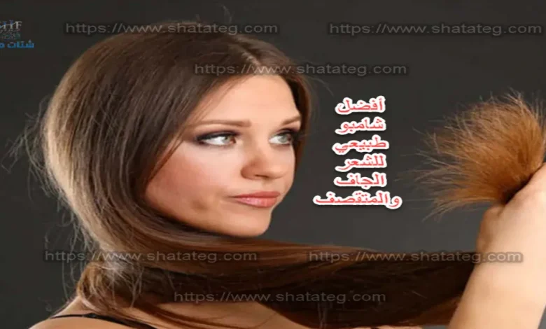 أفضل شامبو طبیعي للشعر الجاف والمتقصف