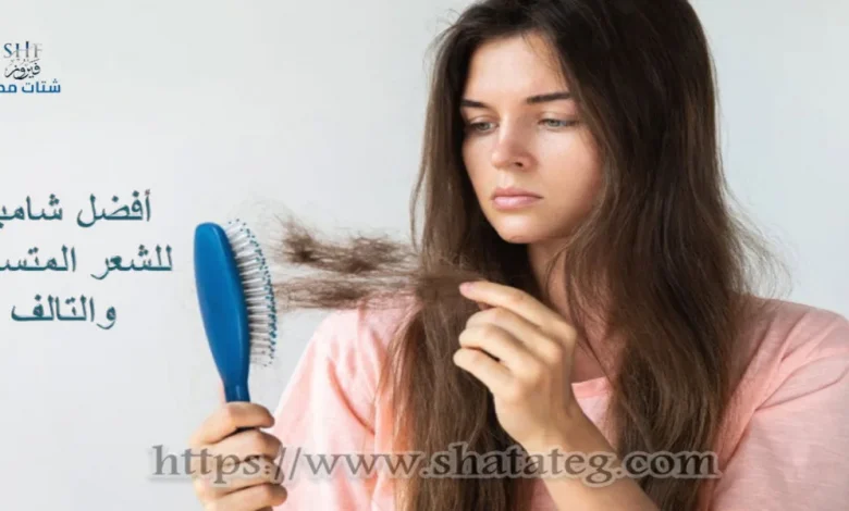 أفضل شامبو للشعر المتساقط والتالف