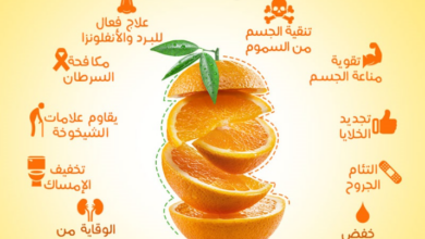 فوائد البرتقال الصحية للجسم والبشرة