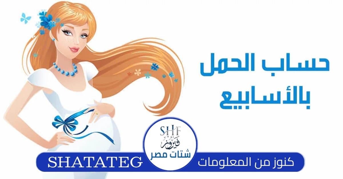 حاسبة الحمل بالأسابيع والأشهر