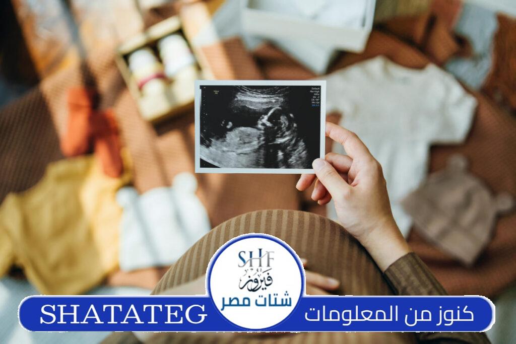 حاسبة الحمل والولادة وجنس الجنين