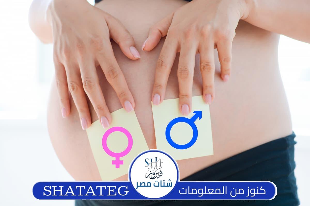 حاسبة الحمل والولادة وجنس الجنين