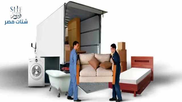 قط اغراض واثاث