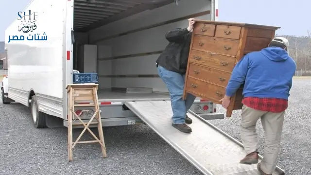 قط اغراض واثاث