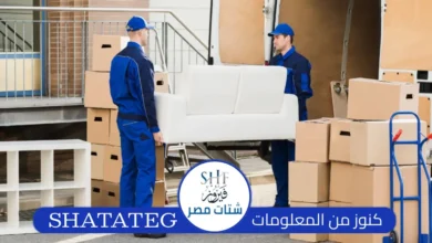 قط اغراض واثاث