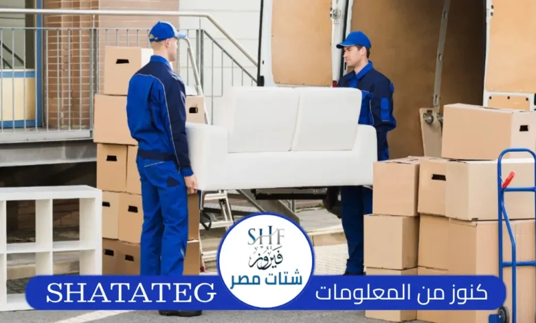 قط اغراض واثاث