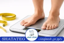 حاسبة الوزن المثالي