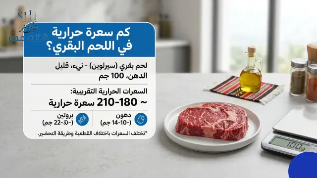 كم سعرة في الأكل