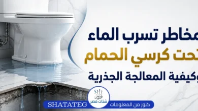 تسرب الماء تحت كرسي الحمام