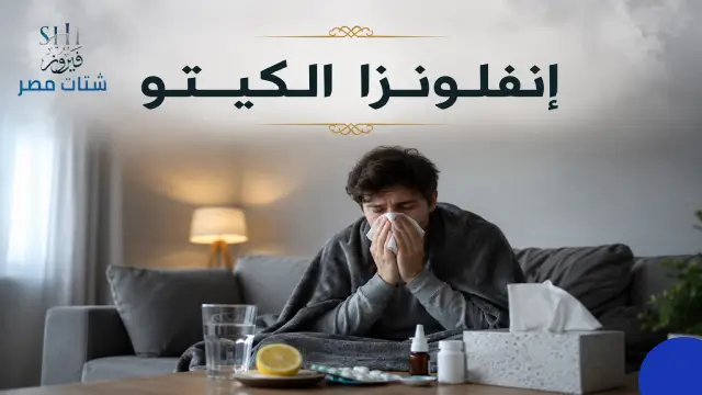 حمية الكيتو للمبتدئين بالعربي